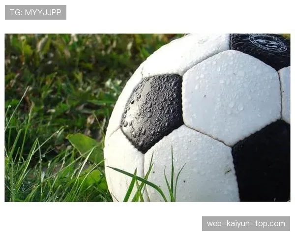 球门球规则详解：判罚条件与执行步骤全解析